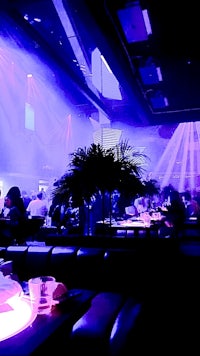 a nightclub with purple lights in the background